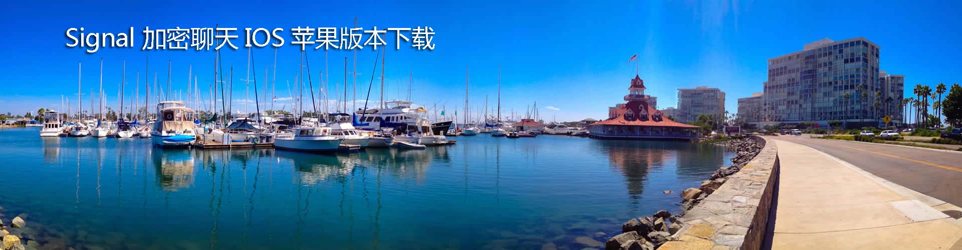 Signal聊天IOS苹果版本下载